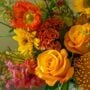 product-264105-1784139883-10000344^4